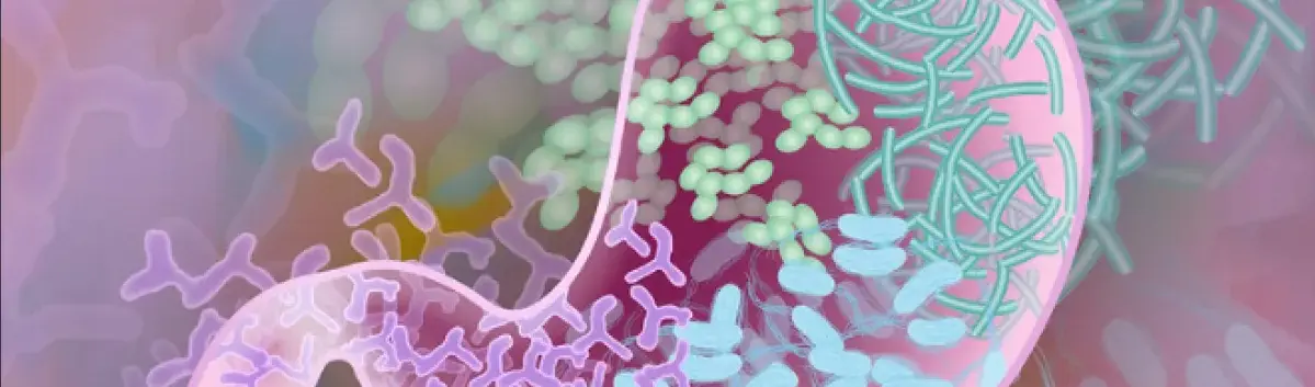 Aginglifesolutionsllc